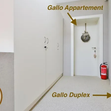 Gallo & Duplex Centrum Tongeren
